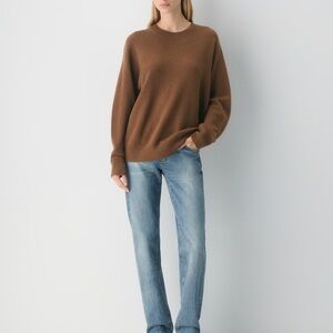 Aritzia Crewneck Sweater in Brown